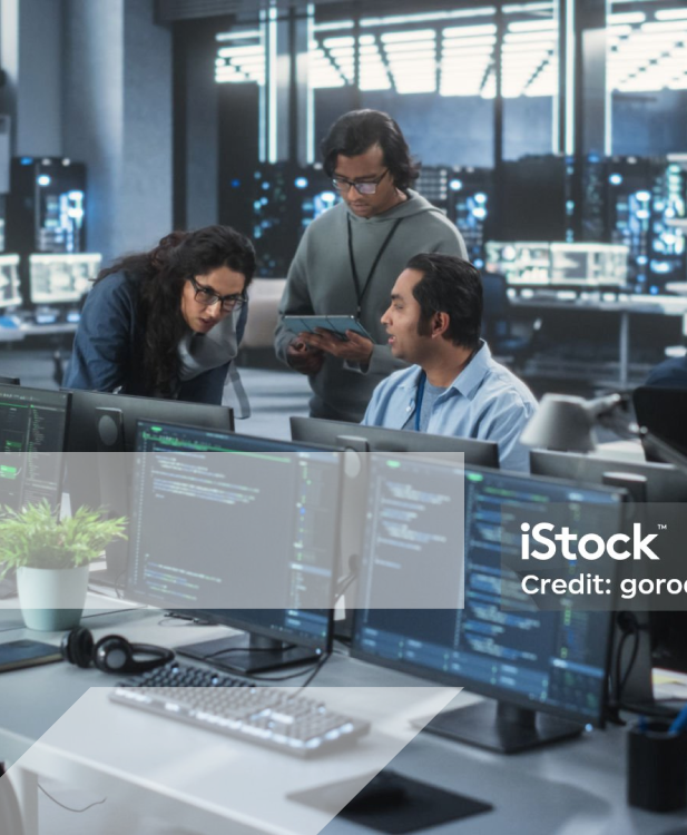 EcoSecureIT technology team