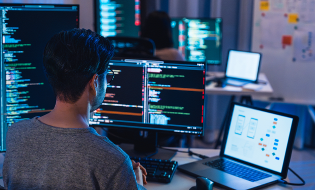 Software Development